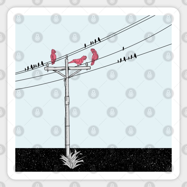 Parrots on a power line Sticker by mailboxdisco